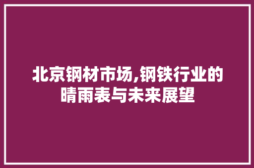 北京钢材市场,钢铁行业的晴雨表与未来展望