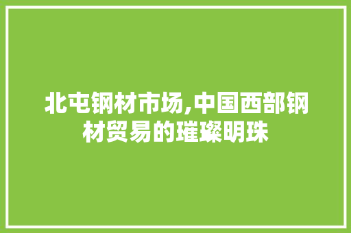 北屯钢材市场,中国西部钢材贸易的璀璨明珠