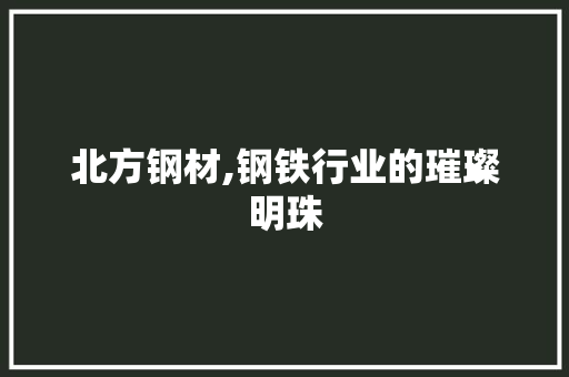 北方钢材,钢铁行业的璀璨明珠