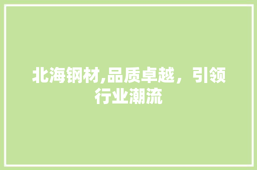 北海钢材,品质卓越，引领行业潮流