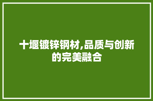 十堰镀锌钢材,品质与创新的完美融合