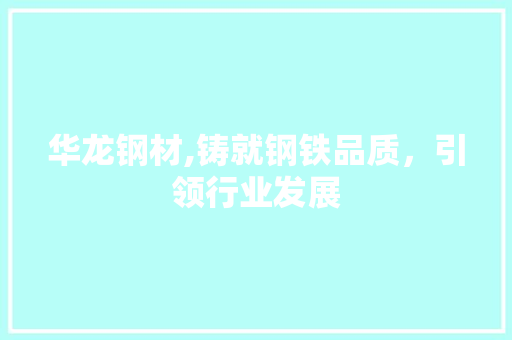 华龙钢材,铸就钢铁品质，引领行业发展