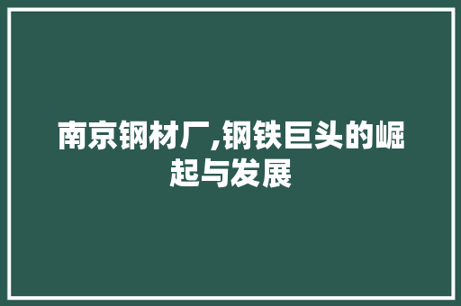 南京钢材厂,钢铁巨头的崛起与发展