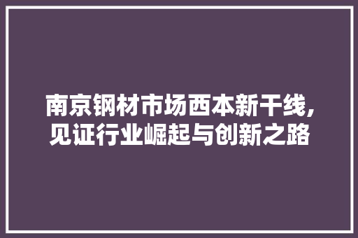 南京钢材市场西本新干线,见证行业崛起与创新之路