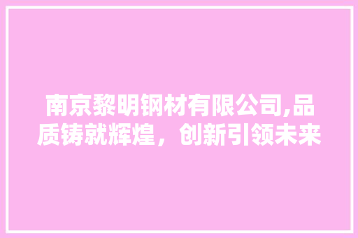 南京黎明钢材有限公司,品质铸就辉煌，创新引领未来