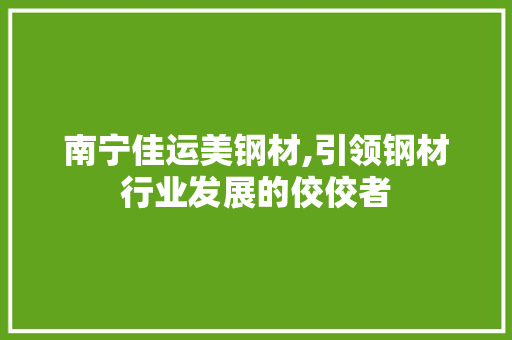 南宁佳运美钢材,引领钢材行业发展的佼佼者