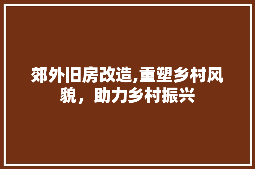郊外旧房改造,重塑乡村风貌，助力乡村振兴