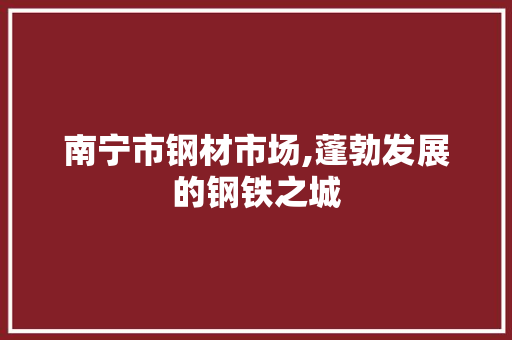 南宁市钢材市场,蓬勃发展的钢铁之城