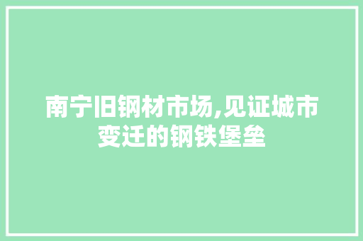 南宁旧钢材市场,见证城市变迁的钢铁堡垒