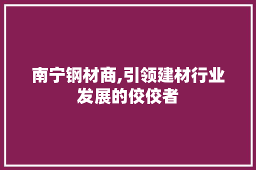 南宁钢材商,引领建材行业发展的佼佼者
