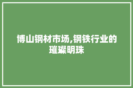 博山钢材市场,钢铁行业的璀璨明珠