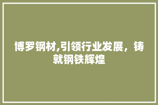 博罗钢材,引领行业发展，铸就钢铁辉煌