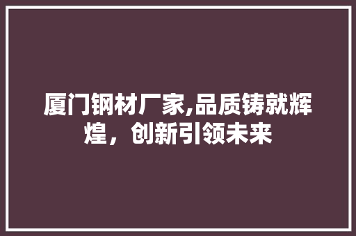 厦门钢材厂家,品质铸就辉煌，创新引领未来