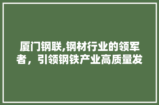 厦门钢联,钢材行业的领军者，引领钢铁产业高质量发展