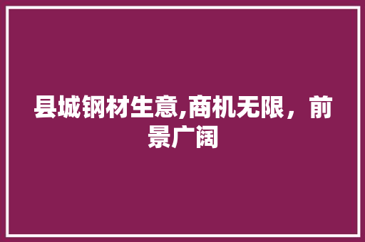 县城钢材生意,商机无限，前景广阔