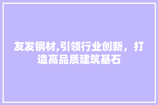 友发钢材,引领行业创新，打造高品质建筑基石