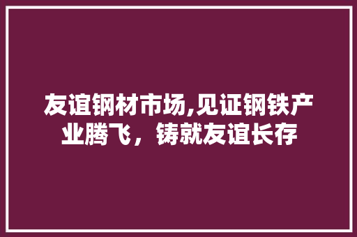 友谊钢材市场,见证钢铁产业腾飞，铸就友谊长存