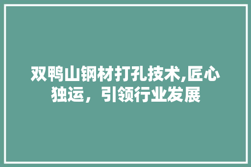 双鸭山钢材打孔技术,匠心独运，引领行业发展