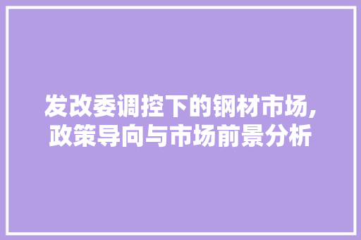发改委调控下的钢材市场,政策导向与市场前景分析