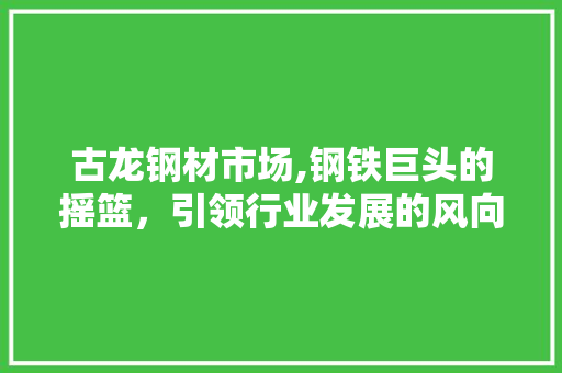 古龙钢材市场,钢铁巨头的摇篮，引领行业发展的风向标