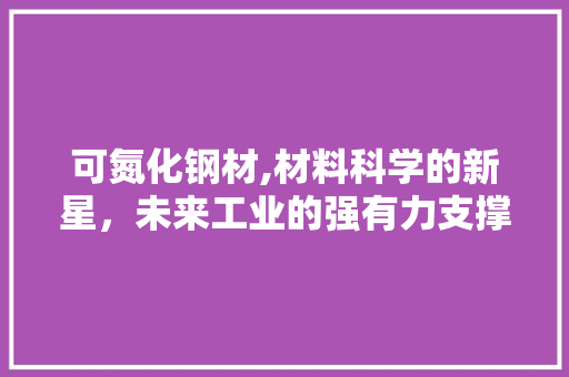 可氮化钢材,材料科学的新星，未来工业的强有力支撑