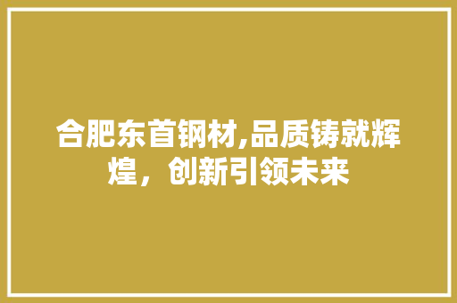 合肥东首钢材,品质铸就辉煌，创新引领未来