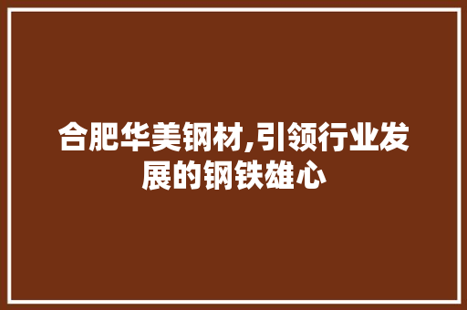 合肥华美钢材,引领行业发展的钢铁雄心