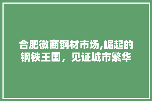 合肥徽商钢材市场,崛起的钢铁王国，见证城市繁华