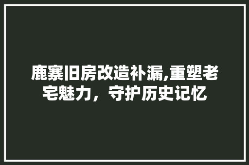 鹿寨旧房改造补漏,重塑老宅魅力，守护历史记忆