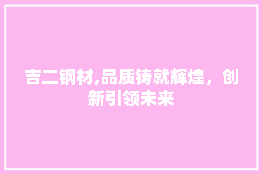 吉二钢材,品质铸就辉煌，创新引领未来