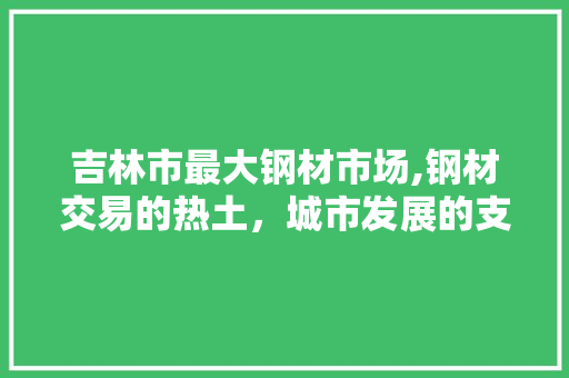 吉林市最大钢材市场,钢材交易的热土，城市发展的支撑