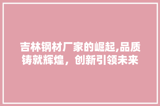 吉林钢材厂家的崛起,品质铸就辉煌，创新引领未来