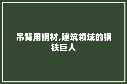 吊臂用钢材,建筑领域的钢铁巨人