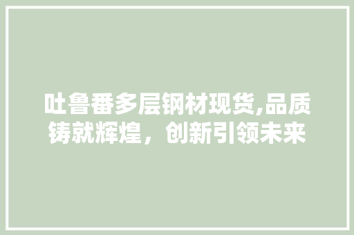 吐鲁番多层钢材现货,品质铸就辉煌，创新引领未来