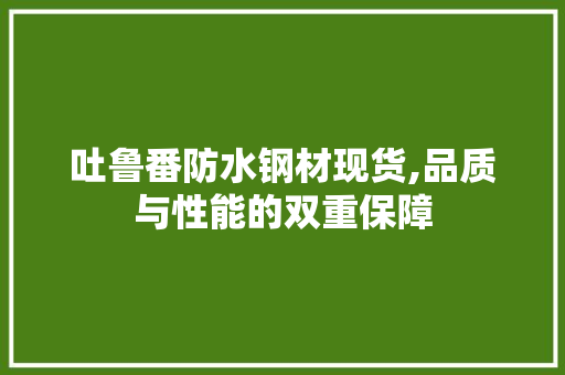 吐鲁番防水钢材现货,品质与性能的双重保障
