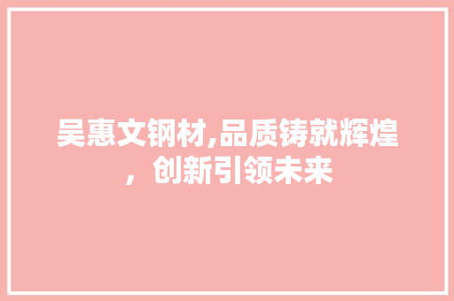 吴惠文钢材,品质铸就辉煌，创新引领未来