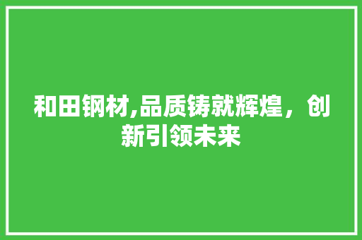 和田钢材,品质铸就辉煌，创新引领未来