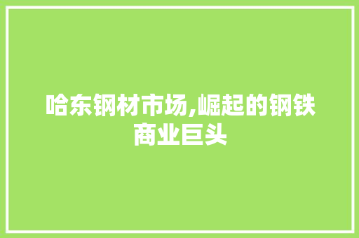哈东钢材市场,崛起的钢铁商业巨头