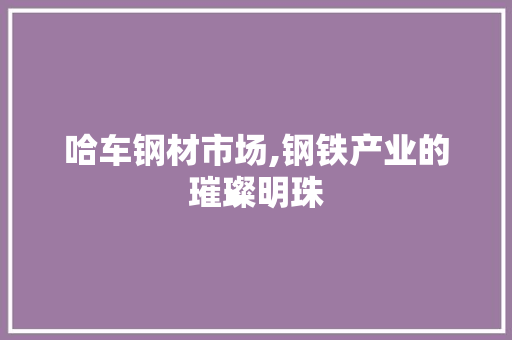 哈车钢材市场,钢铁产业的璀璨明珠
