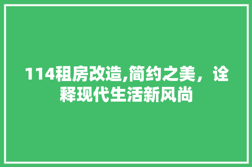114租房改造,简约之美，诠释现代生活新风尚
