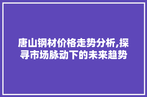 唐山钢材价格走势分析,探寻市场脉动下的未来趋势