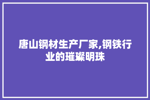 唐山钢材生产厂家,钢铁行业的璀璨明珠