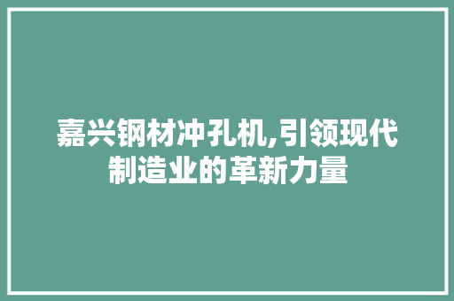 嘉兴钢材冲孔机,引领现代制造业的革新力量
