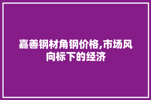 嘉善钢材角钢价格,市场风向标下的经济