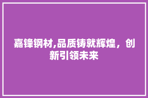 嘉锋钢材,品质铸就辉煌，创新引领未来