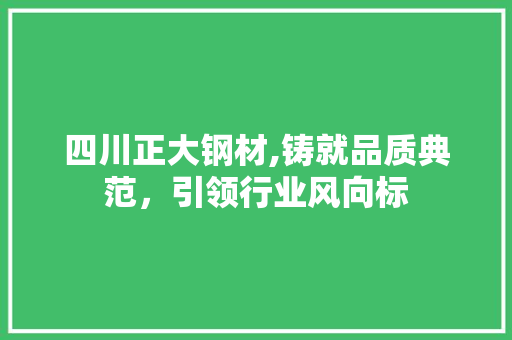 四川正大钢材,铸就品质典范，引领行业风向标