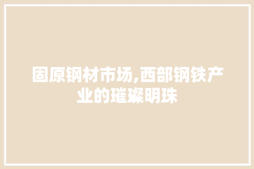 固原钢材市场,西部钢铁产业的璀璨明珠
