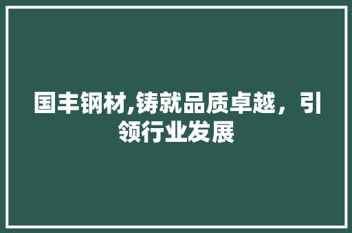 国丰钢材,铸就品质卓越，引领行业发展