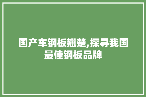 国产车钢板翘楚,探寻我国最佳钢板品牌