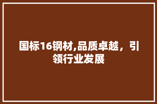 国标16钢材,品质卓越，引领行业发展